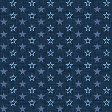Load image into Gallery viewer, American Muscle by Studio E, Mini Stars Navy 5342-77 - Little Turtle Cottage