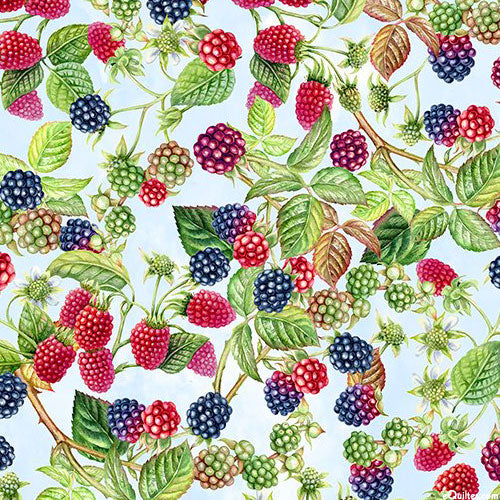 Celebrate the Seasons by Jason Yenter,  Little Turtle Cottage