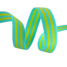 Load image into Gallery viewer, Tula Pink Lime &amp; Turquoise Nylon Webbing Strap , Little Turtle Cottage
