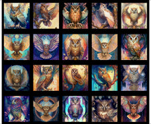 Load image into Gallery viewer, Mystic Owls by QT Fabrics, Little Turtle Cottage
