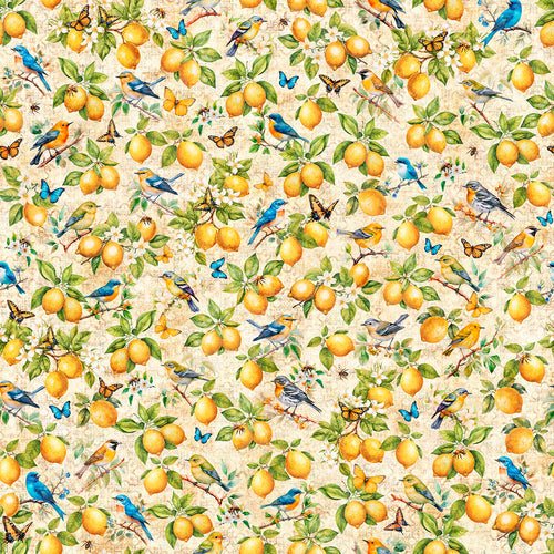 Citrus Bliss from QT Fabrics | Little Turtle Cottage
