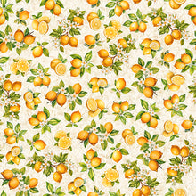 Load image into Gallery viewer, Citrus Bliss from QT Fabrics | Little Turtle Cottage
