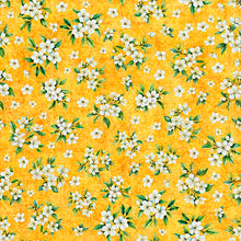 Load image into Gallery viewer, Citrus Bliss from QT Fabrics | Little Turtle Cottage
