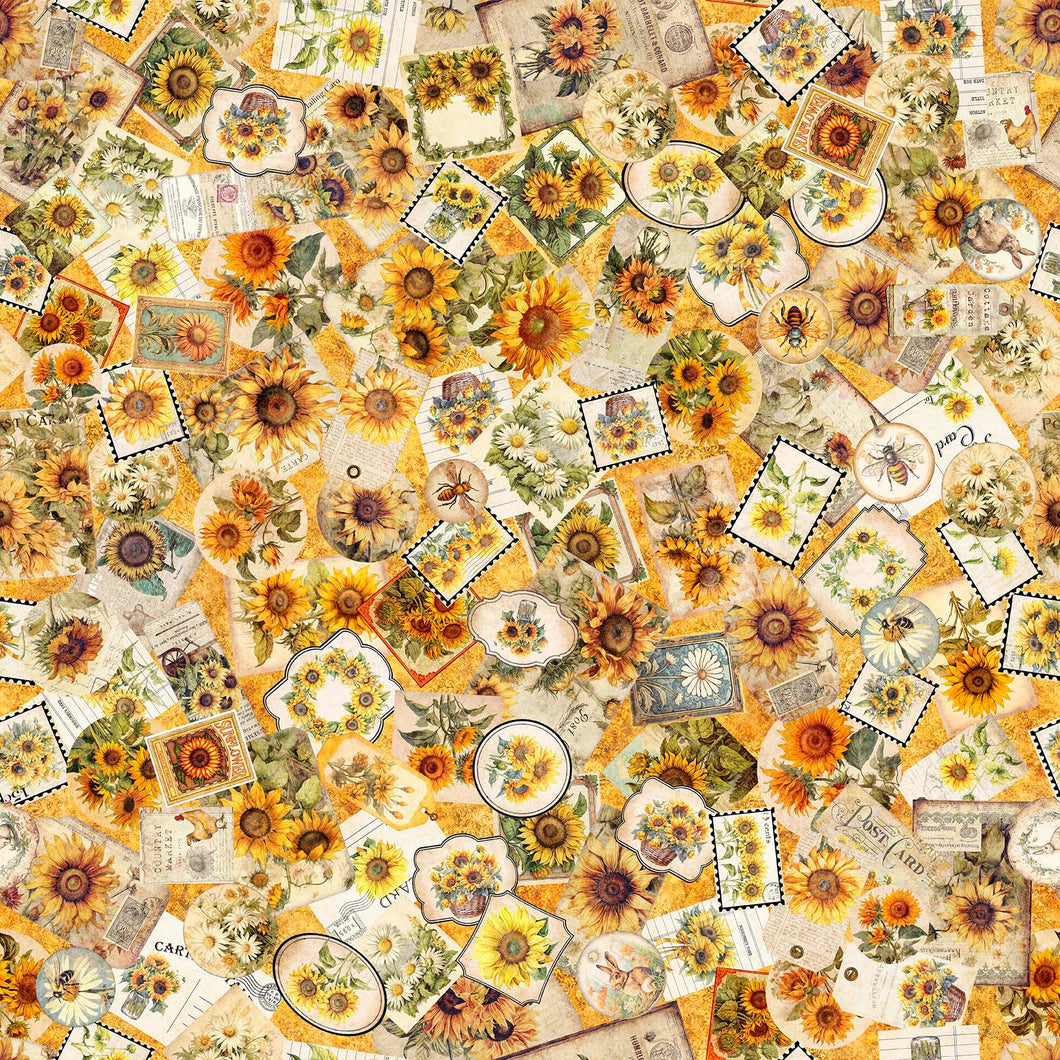 Sunflower Serenade by QT, Little Turtle Cottage