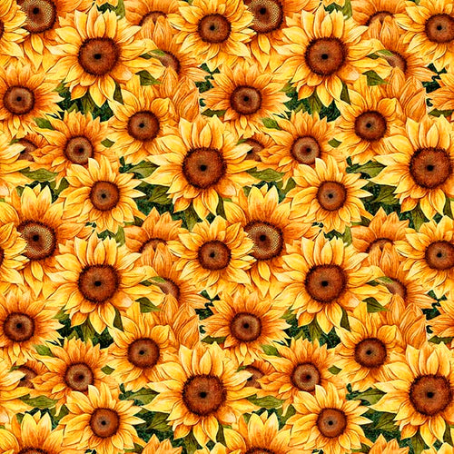 Sunflower Serenade by QT, Little Turtle Cottage
