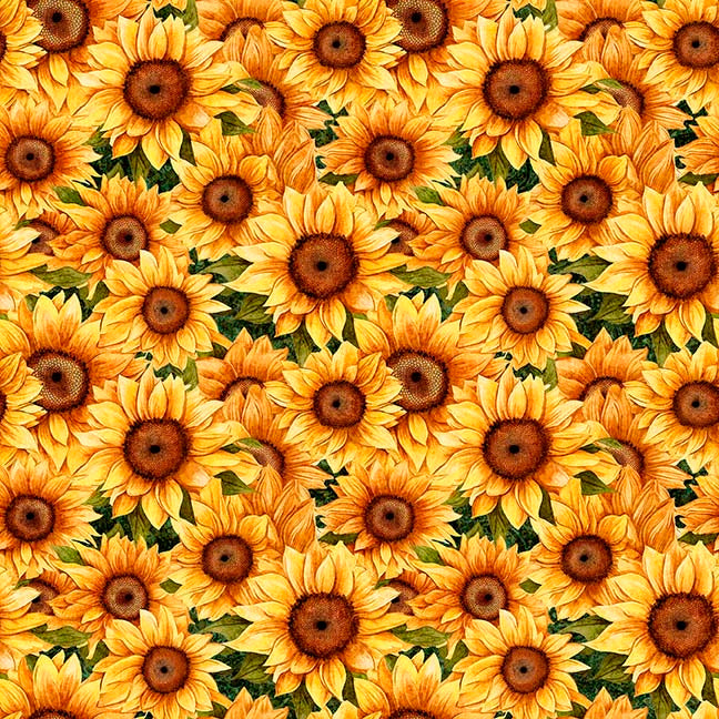 Sunflower Serenade by QT, Little Turtle Cottage