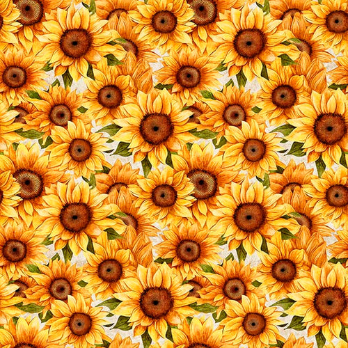 Sunflower Serenade by QT, Little Turtle Cottage