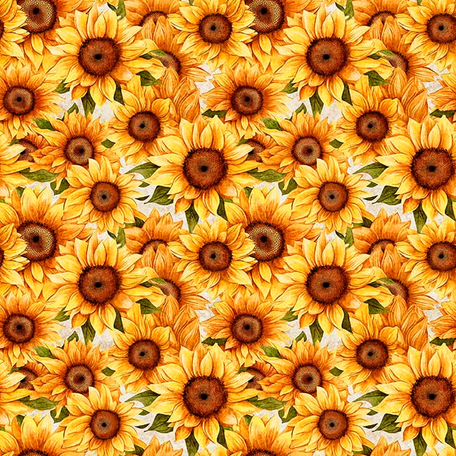 Sunflower Serenade by QT, Little Turtle Cottage