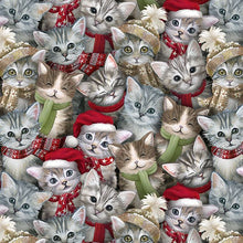 Load image into Gallery viewer, Blank Quilting A Purr-fect Holiday Season, Little Turtle Cottage
