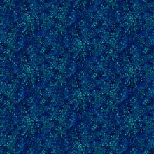 Load image into Gallery viewer, Allure from Northcott, Digital, Little Turtle Cottage
