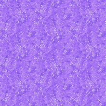 Load image into Gallery viewer, Allure from Northcott, Digital, Little Turtle Cottage

