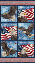 Load image into Gallery viewer, Stars &amp; Stripes 13 - Stonehenge by Northcott, Little Turtle Cottage
