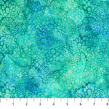 Load image into Gallery viewer, Coral Reef by Northcott, Little Turtle Cottage
