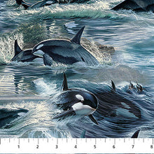 Load image into Gallery viewer,  Voyage Naturescapes  from Northcott | Little Turtle Cottage
