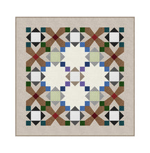 Load image into Gallery viewer, Northcott Accentuate The Positive Shop Sample DQ3339, Little Turtle Cottage
