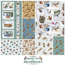 Load image into Gallery viewer, The Secret Life of Squirrels II Clothworks, Little Turtle Cottage

