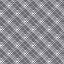 Load image into Gallery viewer, Bias Plaid Basics from Henry Glass | Little Turtle Cottage
