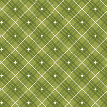Load image into Gallery viewer, Bias Plaid Basics from Henry Glass | Little Turtle Cottage
