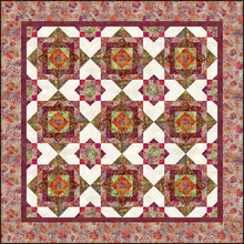 Load image into Gallery viewer, Halcyon Quilts from In The Beginning, Book of Patterns HN.BK, Little Turtle Cottage

