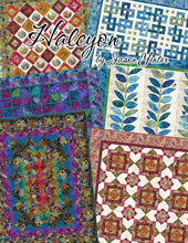 Load image into Gallery viewer, Halcyon Quilts from In The Beginning, Book of Patterns HN.BK, Little Turtle Cottage
