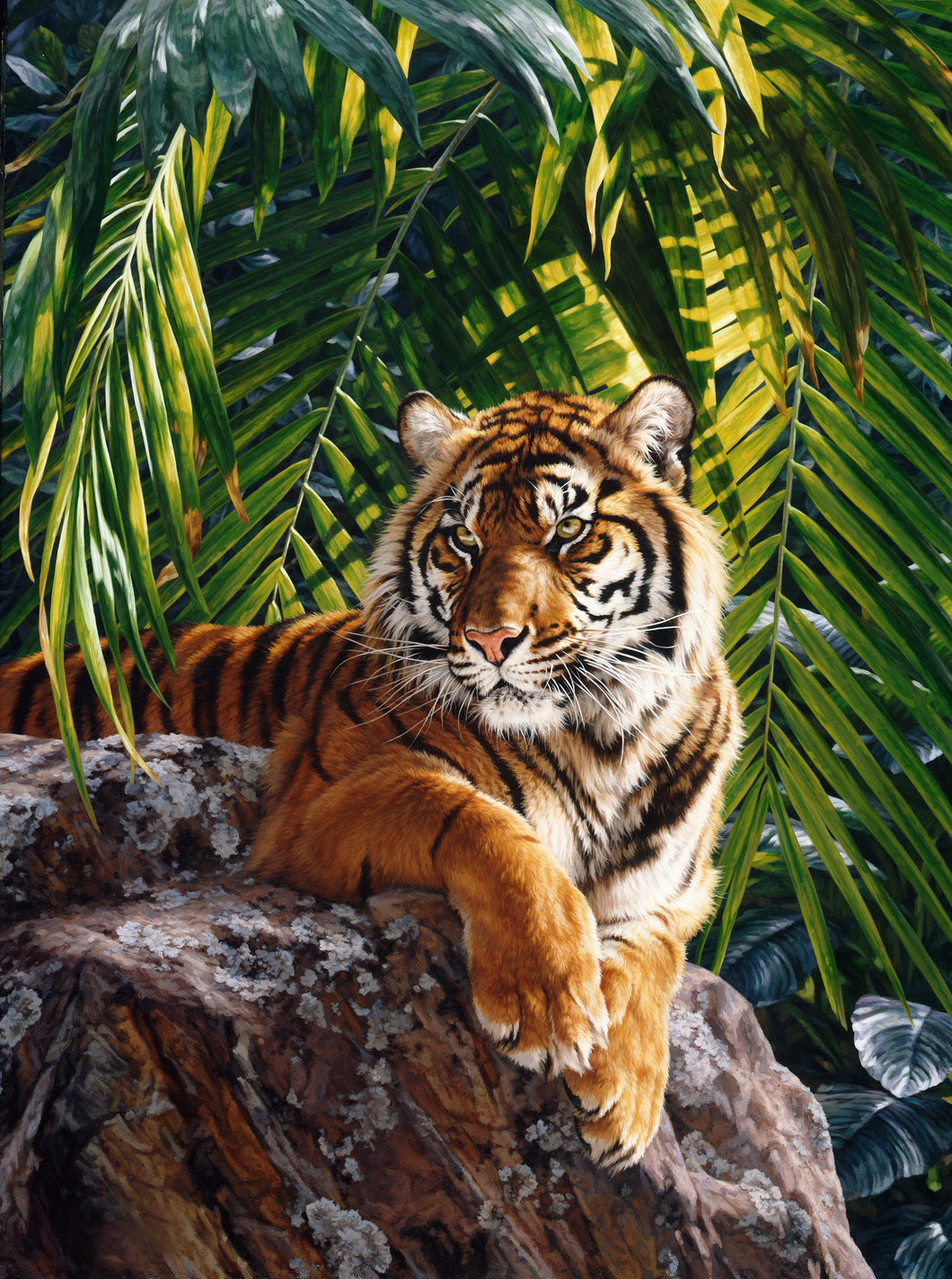 Northcott Jungle Queen Digital Tiger Panel DP25519-99 32