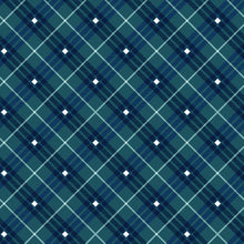 Load image into Gallery viewer, Bias Plaid Basics from Henry Glass | Little Turtle Cottage
