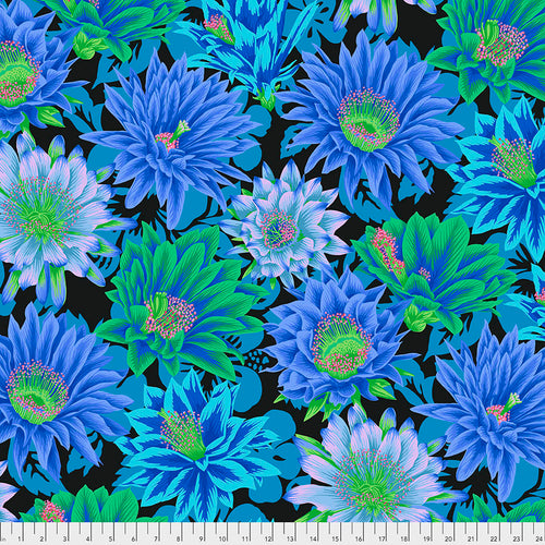 Kaffe Fassett Collective, Little Turtle Cottage