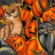 Load image into Gallery viewer, Costumes &amp; Cobwebs by Club Hauer-Freespirit, Little Turtle Cottage
