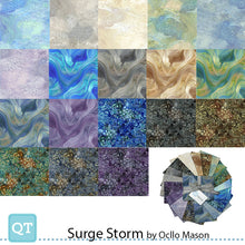 Load image into Gallery viewer, QT Fabrics Surge Storm, Fat Quarter Bundle 18pcs FATQU SUST, Little Turtle Cottage
