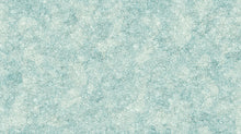 Load image into Gallery viewer, Sea Breeze from Northcott, Little Turtle Cottage
