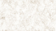 Load image into Gallery viewer, Sea Breeze from Northcott, Little Turtle Cottage
