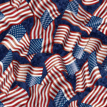 Load image into Gallery viewer, American Heroes by QT Fabrics, Little Turtle Cottage
