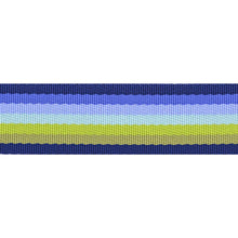 Load image into Gallery viewer, Tula Pink Floral Reef  1-1/2" Webbing, Little Turtle Cottage

