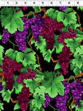 Load image into Gallery viewer, Vineyard by Cedar West for Clothworks , Little Turtle Cottage
