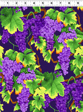 Load image into Gallery viewer, Vineyard by Cedar West for Clothworks , Little Turtle Cottage
