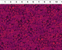 Load image into Gallery viewer, Vineyard by Cedar West for Clothworks , Little Turtle Cottage
