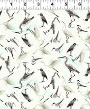 Load image into Gallery viewer, Seashell Wishes from Clothworks, Little Turtle Cottage
