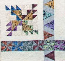 Load image into Gallery viewer, Illusions Sampler PATTERN designed by Scott Flanagan, PTNBOM21-10, Little Turtle Cottage
