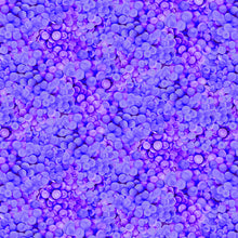 Load image into Gallery viewer, Vineyard by Cedar West for Clothworks , Little Turtle Cottage
