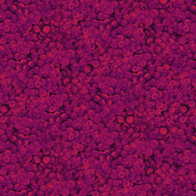 Load image into Gallery viewer, Vineyard by Cedar West for Clothworks , Little Turtle Cottage
