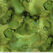 Load image into Gallery viewer, Alchemy Elixir Tim Holtz Eclectic Elements PWTH177.ELIXIR Little Turtle Cottage

