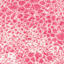 Load image into Gallery viewer, Love to Wear Rayon, Batiks by Northcott Animal Skin-Pretty in Pink 82124-22 - Little Turtle Cottage
