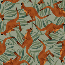 Load image into Gallery viewer, Blank Quilting Aussie Friends Kangaroos 2099-66 - Little Turtle Cottage
