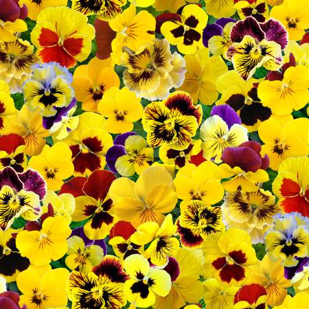 Elizabeth's Studio Lovely Pansies Yellow Pack Pansies 560E-YLW - Little Turtle Cottage