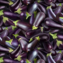Load image into Gallery viewer, Elizabeth&#39;s Studio Food Festival Purple Eggplants 634E-PURPLE - Little Turtle Cottage
