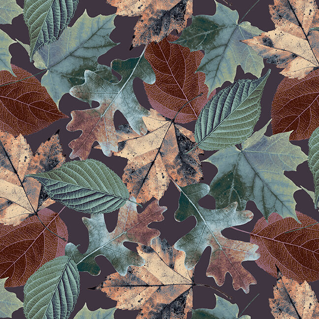 Blank Quilting Natural Beauties-Leaves Jade 1795-75 - Little Turtle Cottage