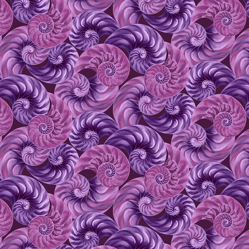 Blank Quilting Natural Beauties-Sea Shell Purple 1797-55 - Little Turtle Cottage