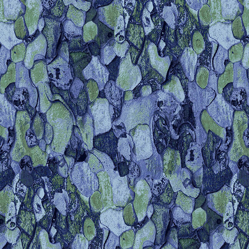 Blank Quilting Natural Beauties-Tree Bark Blue 1794-75 - Little Turtle Cottage