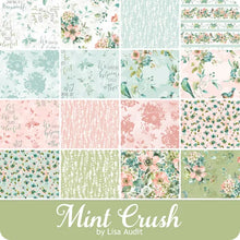 Load image into Gallery viewer, Wilmington Prints Mint Crush 2-1/2&quot; Strips 40pcs Q840-708-840
